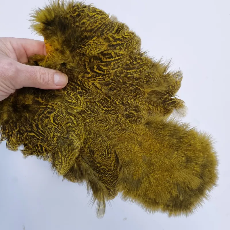 Whiting Coq de Leon Hen Soft Hackle with Chickabou in Speckled Yellow-8